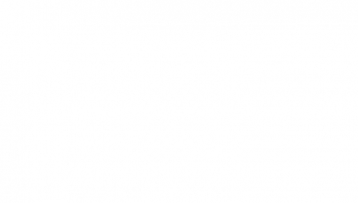 План "Ковер" стартует в Пензенской области