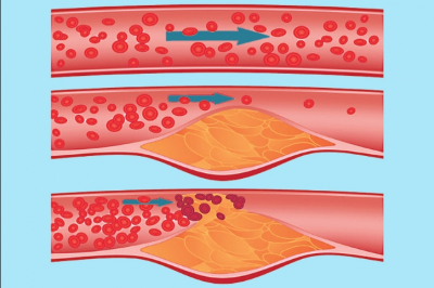 Серж Генсбур: Легенда французской музыки и провокационный гений